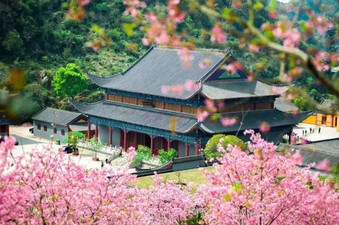 “寺”曾相識，禪音共鳴--公信網絡廣播解決方案
